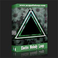 旋律素材/Electro Melody Loop